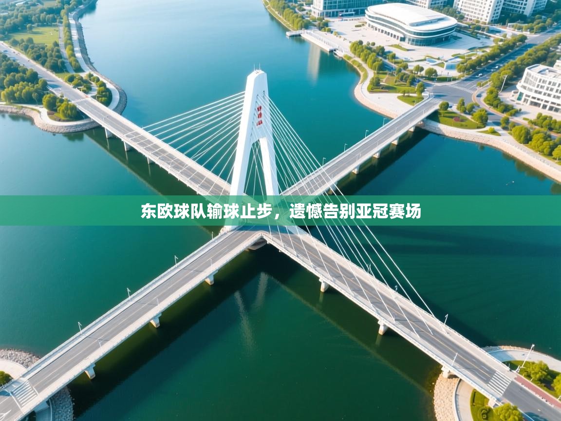 东欧球队输球止步,遗憾告别亚冠赛场 第1张