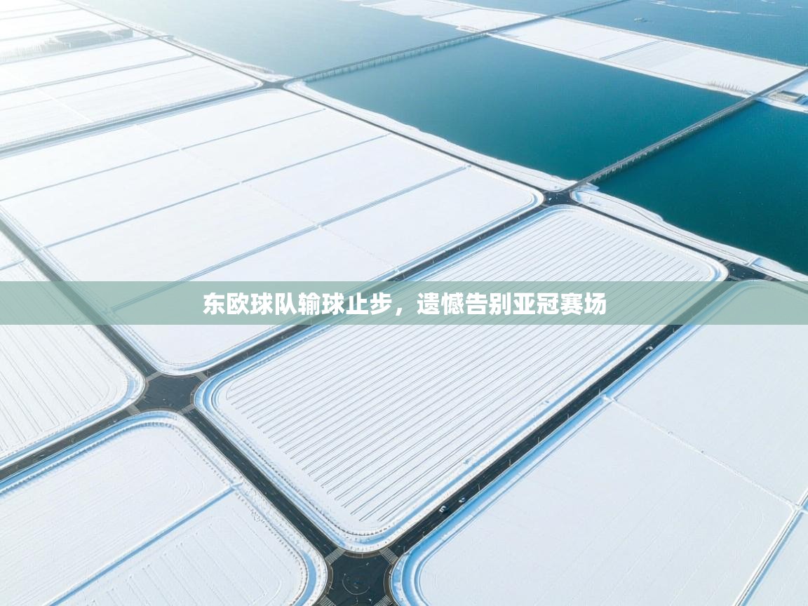 东欧球队输球止步,遗憾告别亚冠赛场 第2张