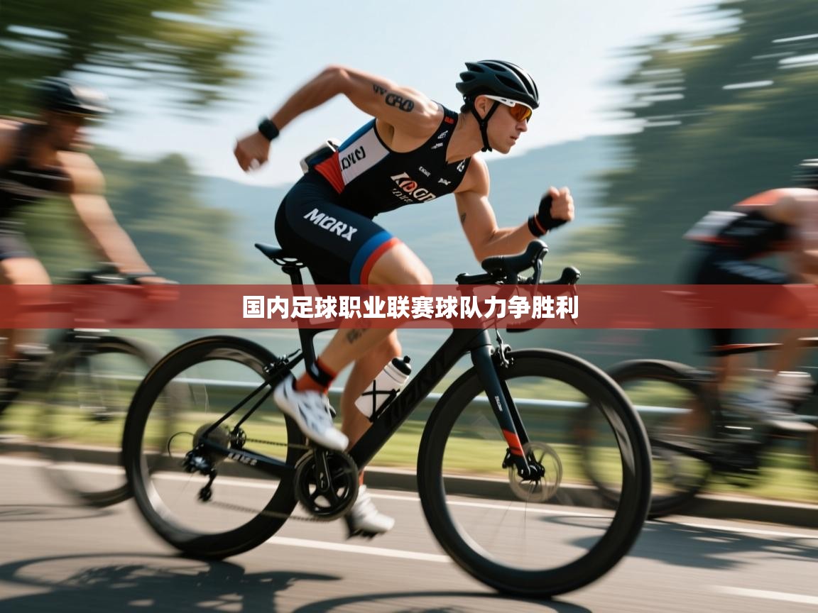 国内足球职业联赛球队力争胜利  第1张