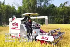 爱游戏入口-恩平苦战，决胜欧洲风云变幻