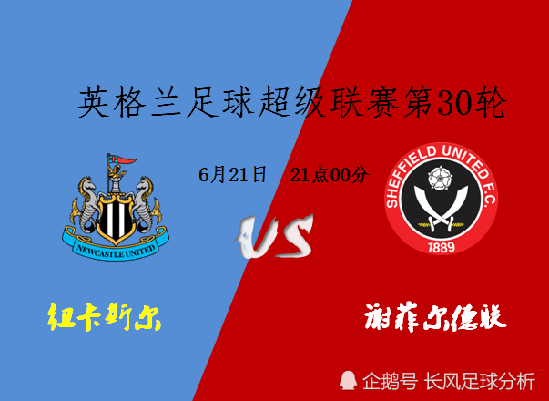 谢菲联主场不敌，保级压力日益加大的简单介绍